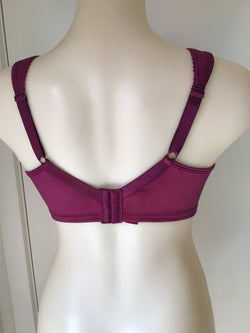 ULTIMATE LIFT SUPPORT - WINE